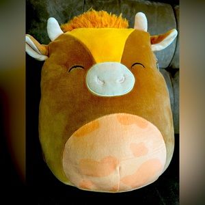 Quinick Squishmallow🧡